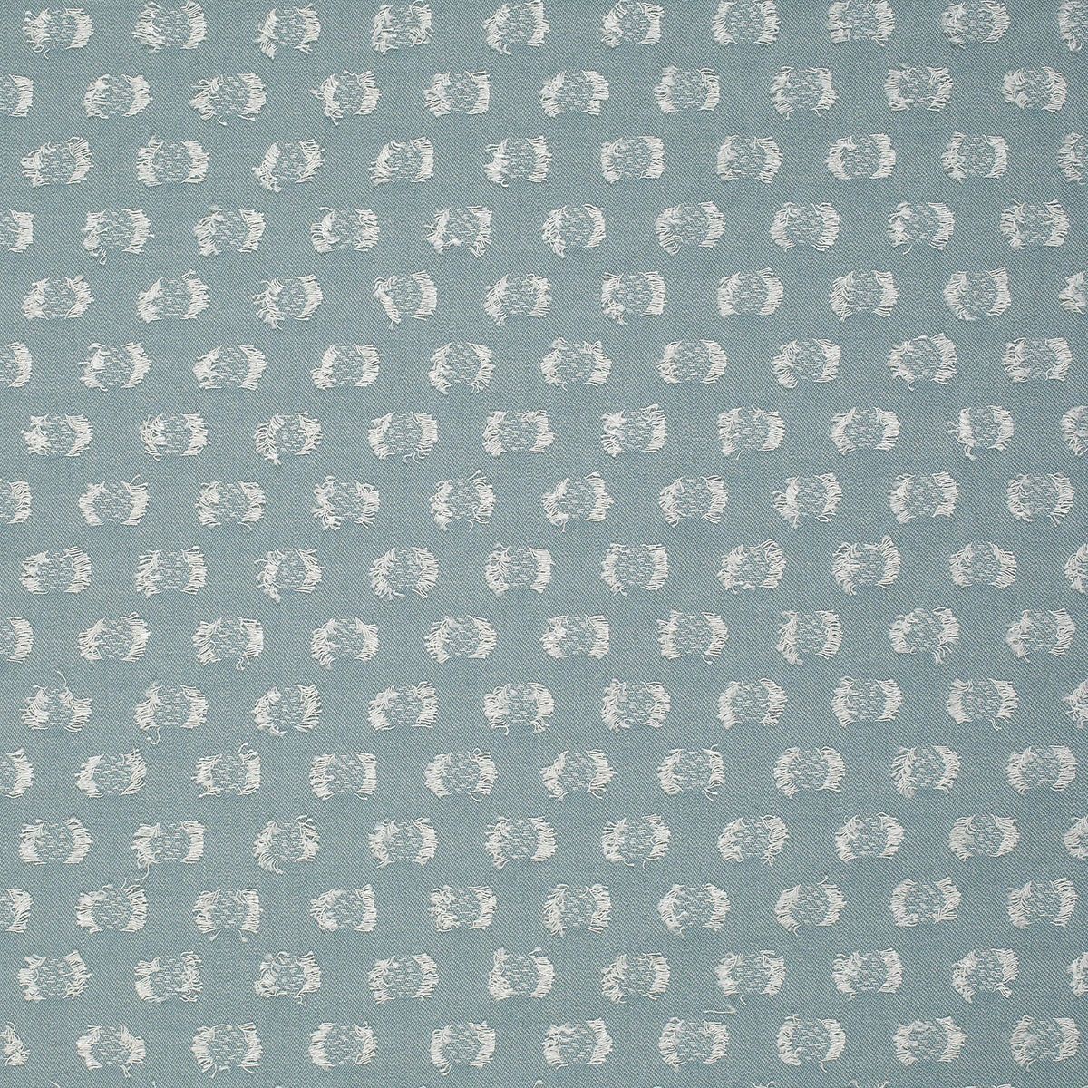 Dottie-Splash