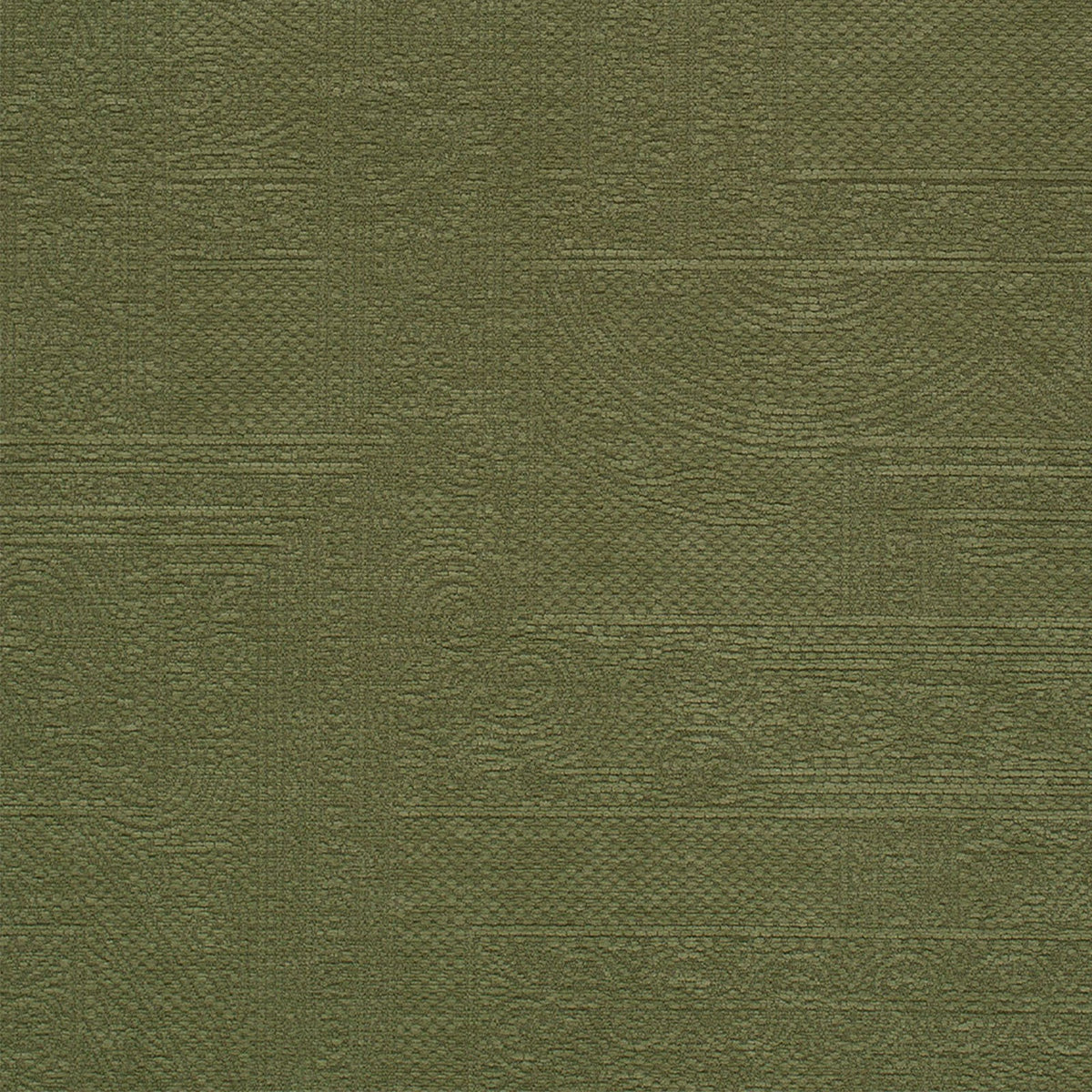 Sapwood-Moss