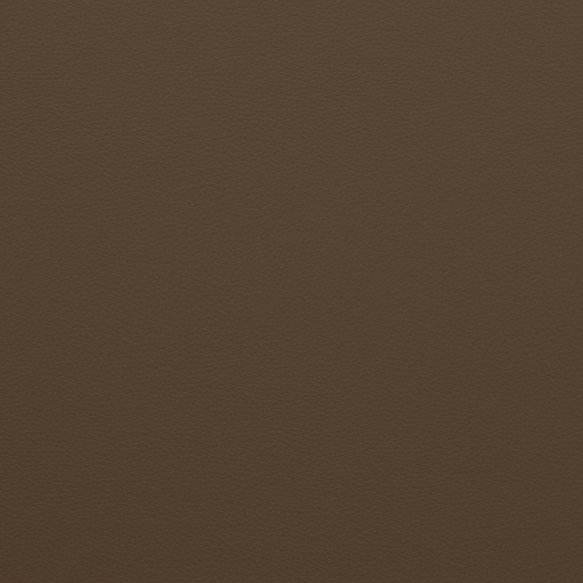 Mitchell Fabrics Force-Caramel Fabric | Atlanta Fabrics