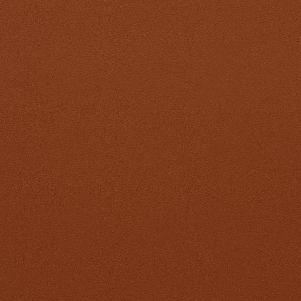 Force-Classic Orange - Atlanta Fabrics