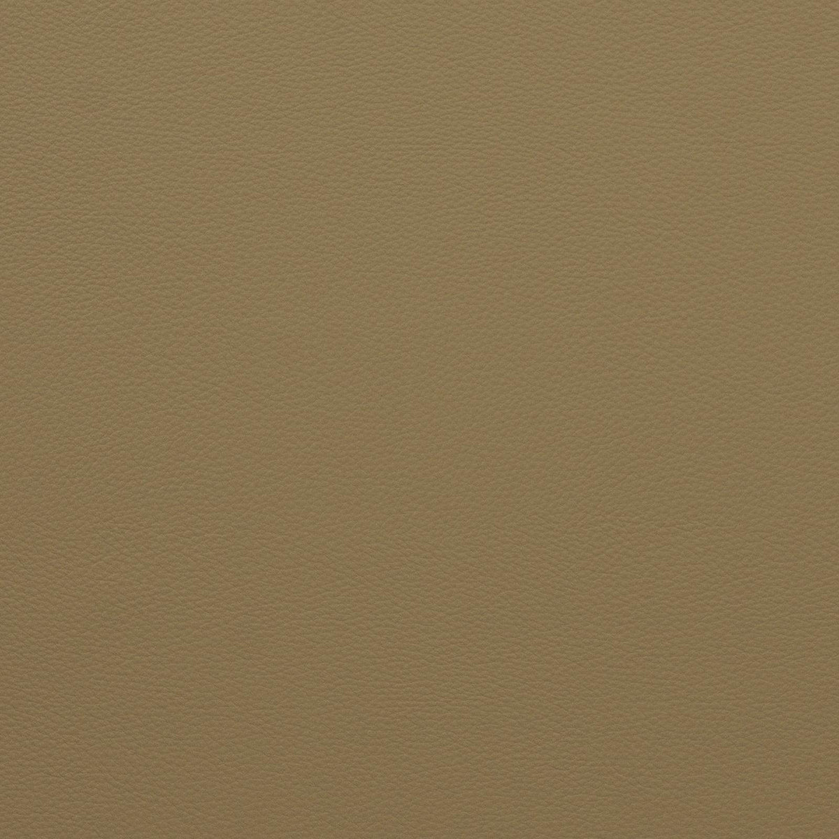Mitchell Fabrics Force-Latte Fabric | Atlanta Fabrics