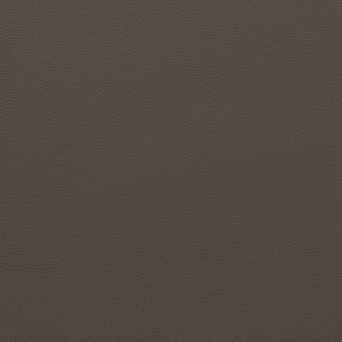 Mitchell Fabrics Force-Stone Gray Fabric | Atlanta Fabrics