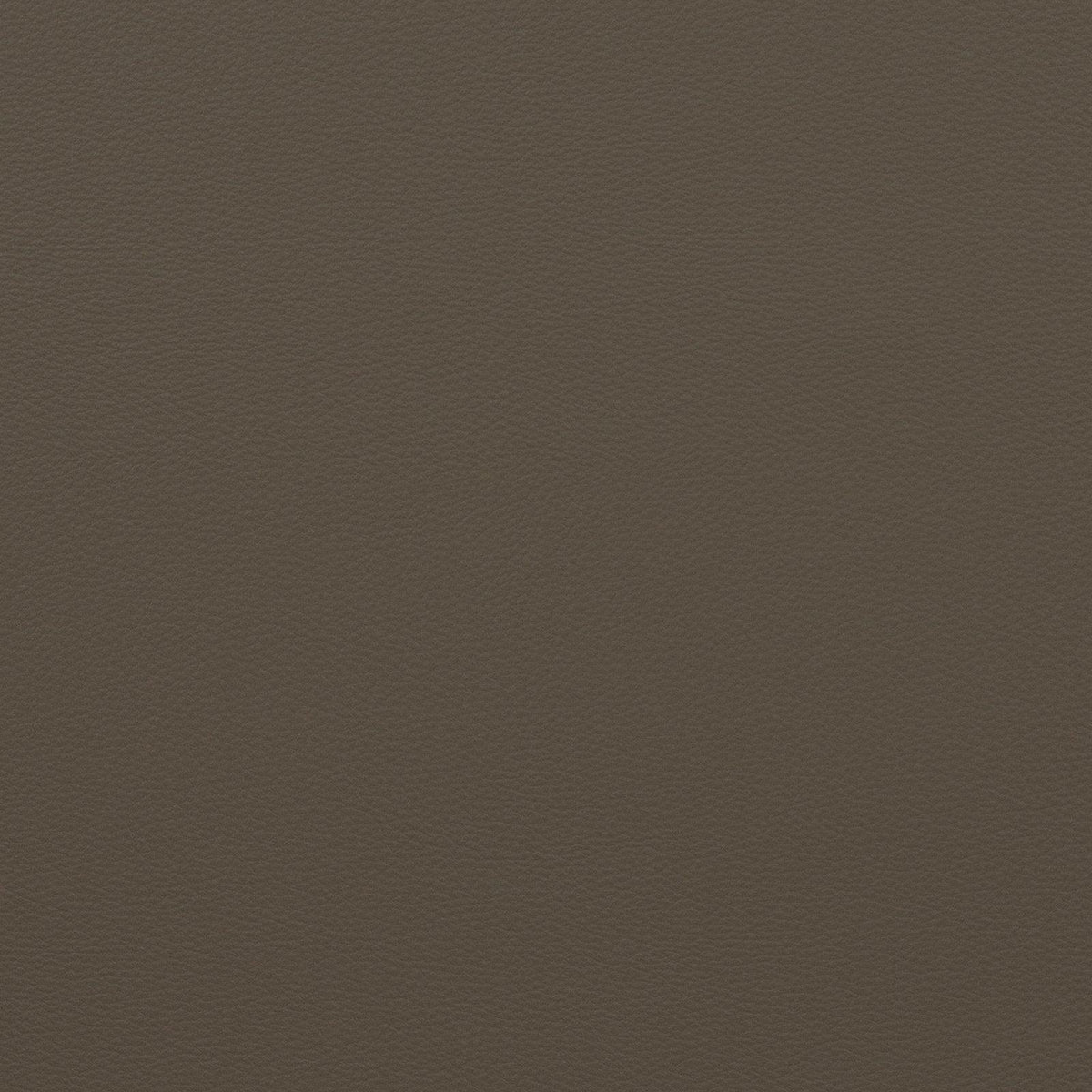 Mitchell Fabrics Force-Titanium Fabric | Atlanta Fabrics