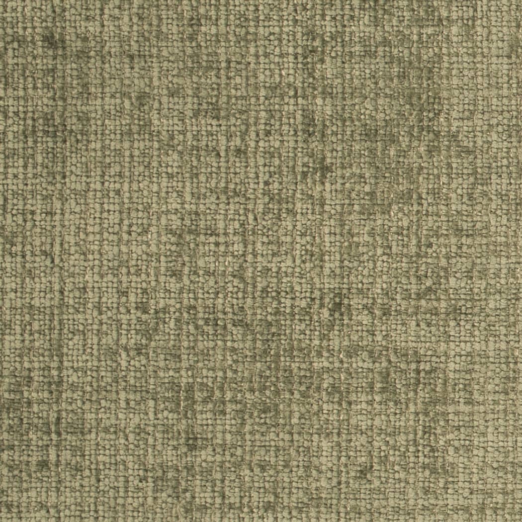 D4578 Lichen