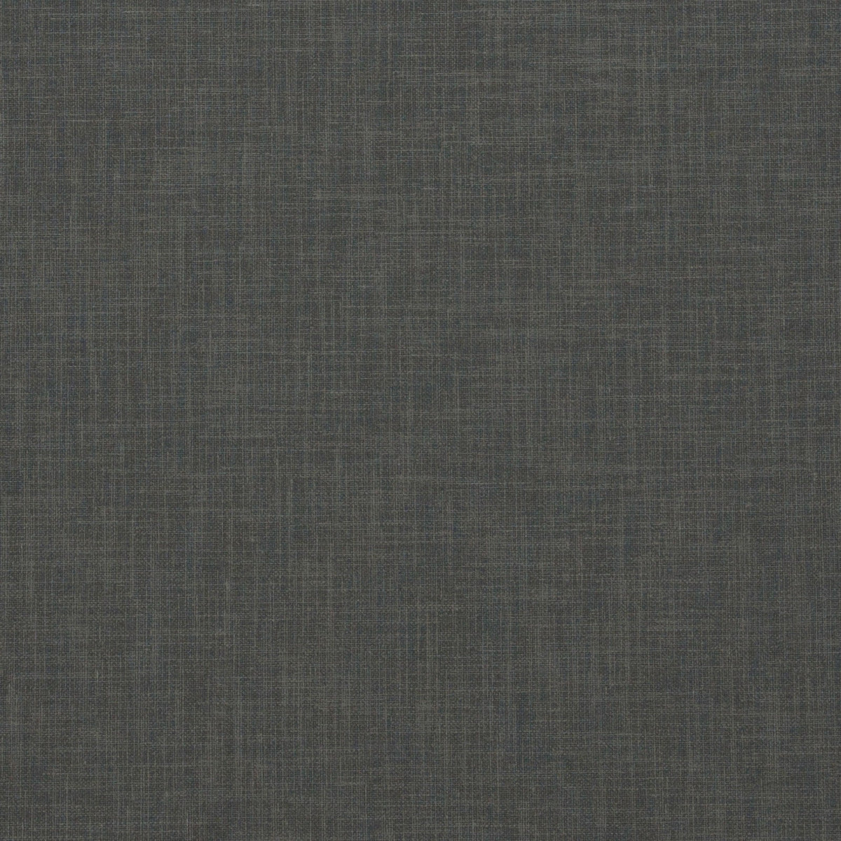 Berber-Plum