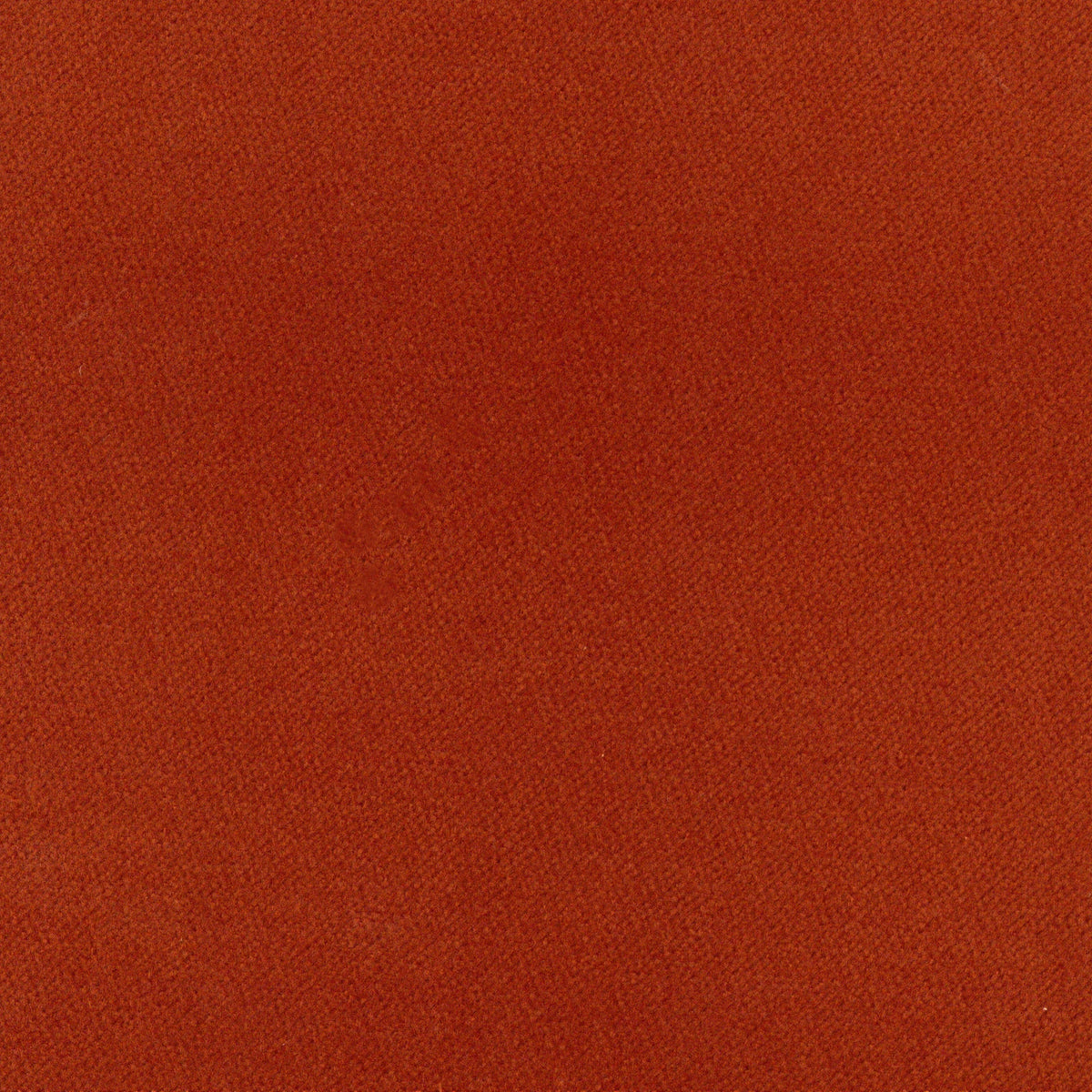 A5318 Tangelo