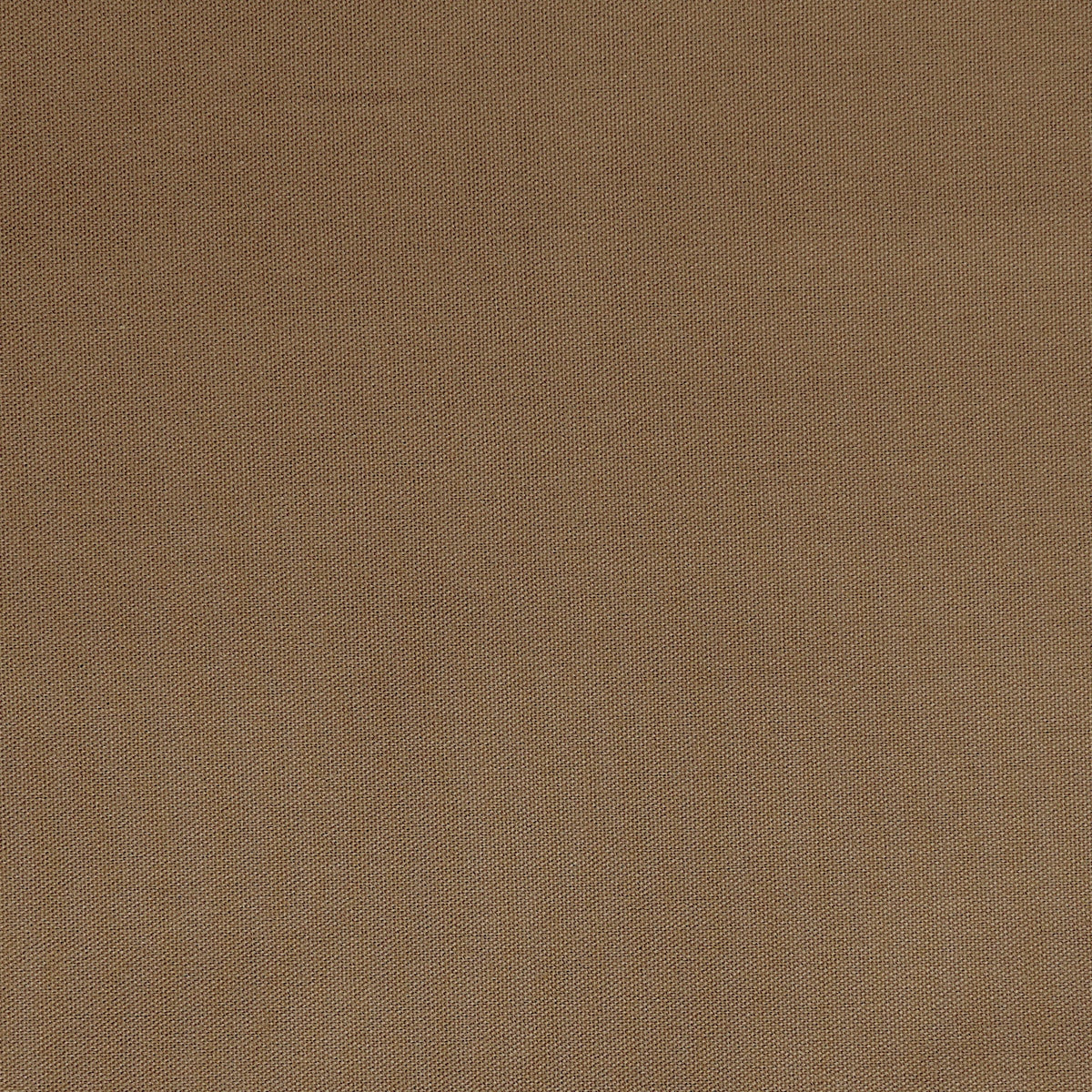 Quack Quack-Mushroom