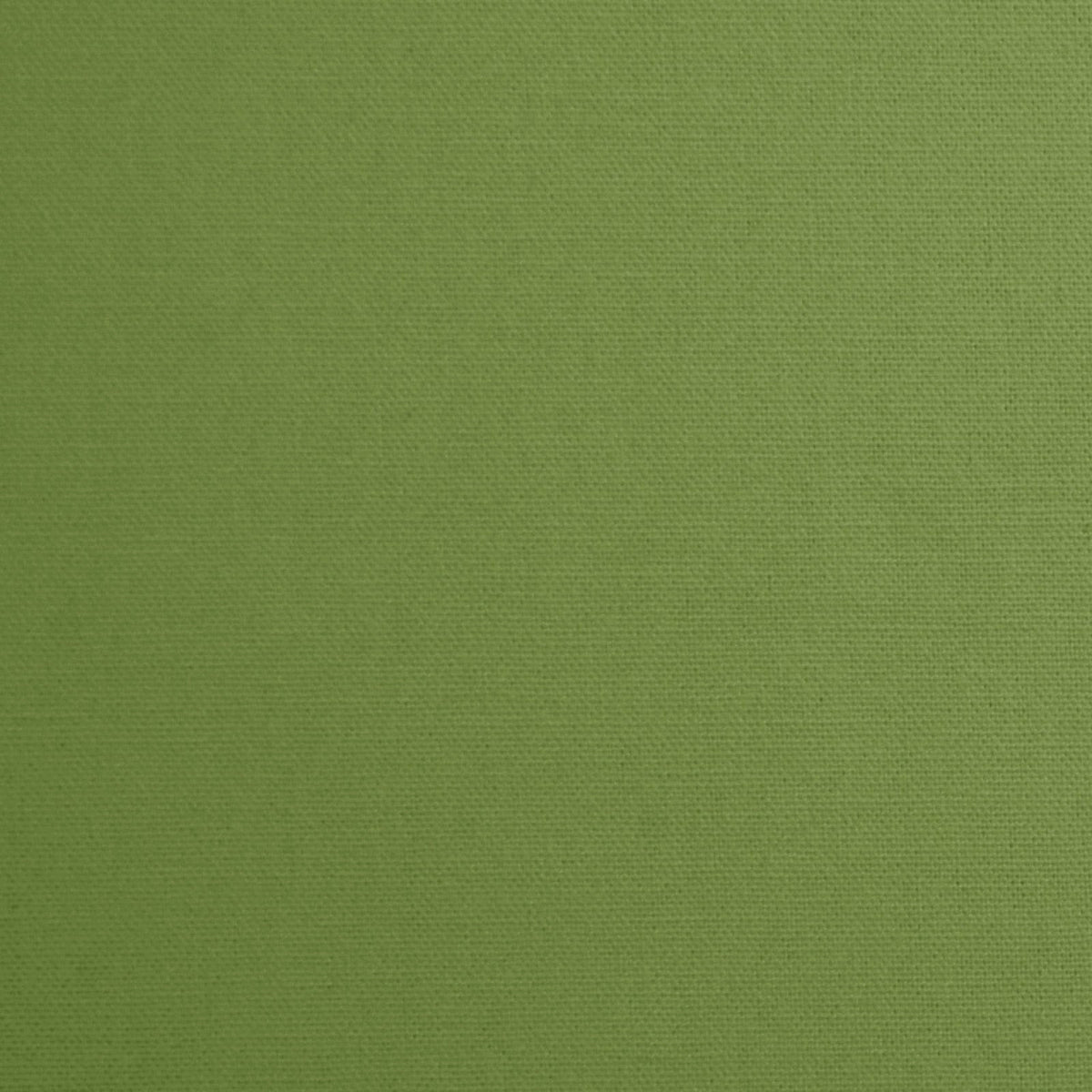Daffy-Basil
