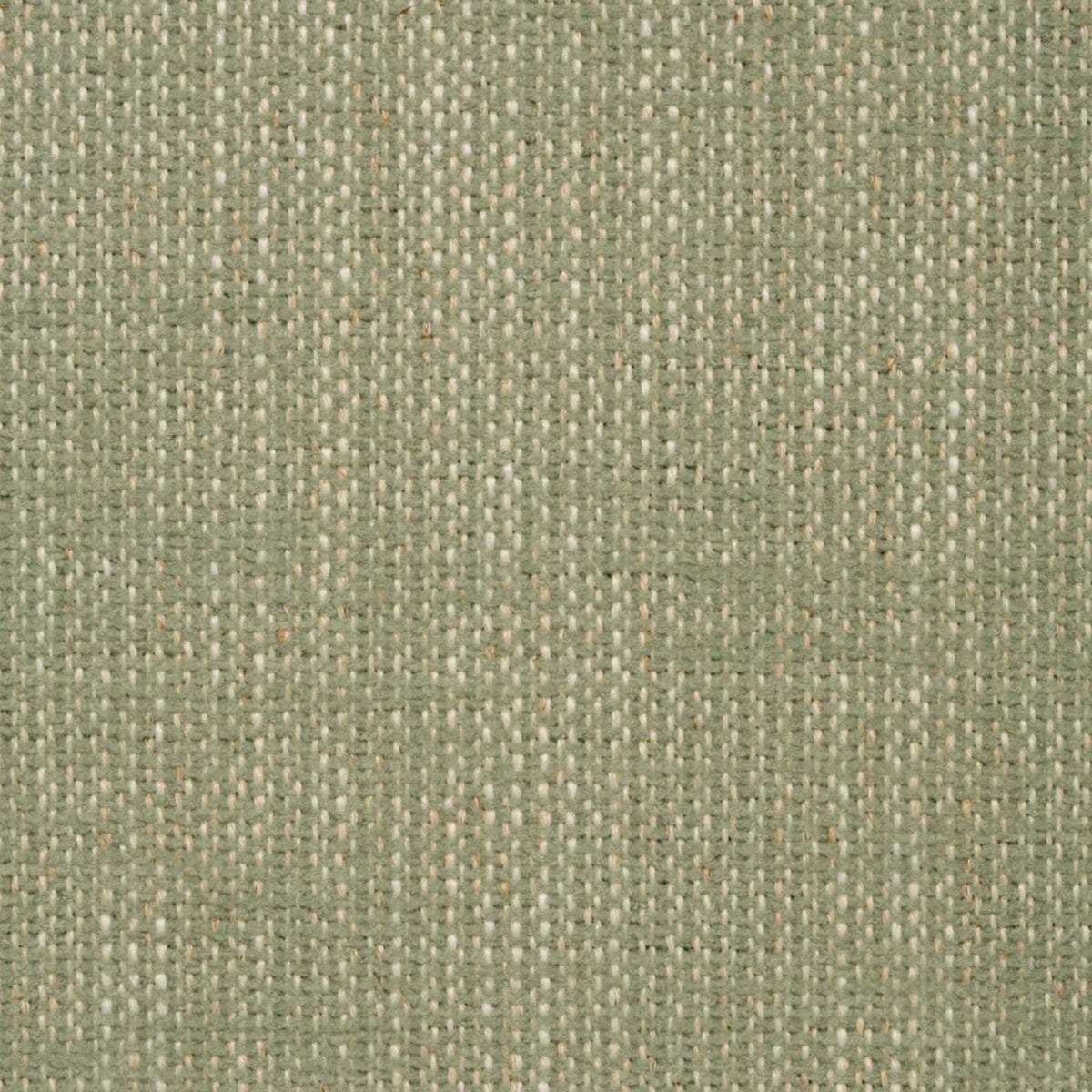 B8622 Pistachio