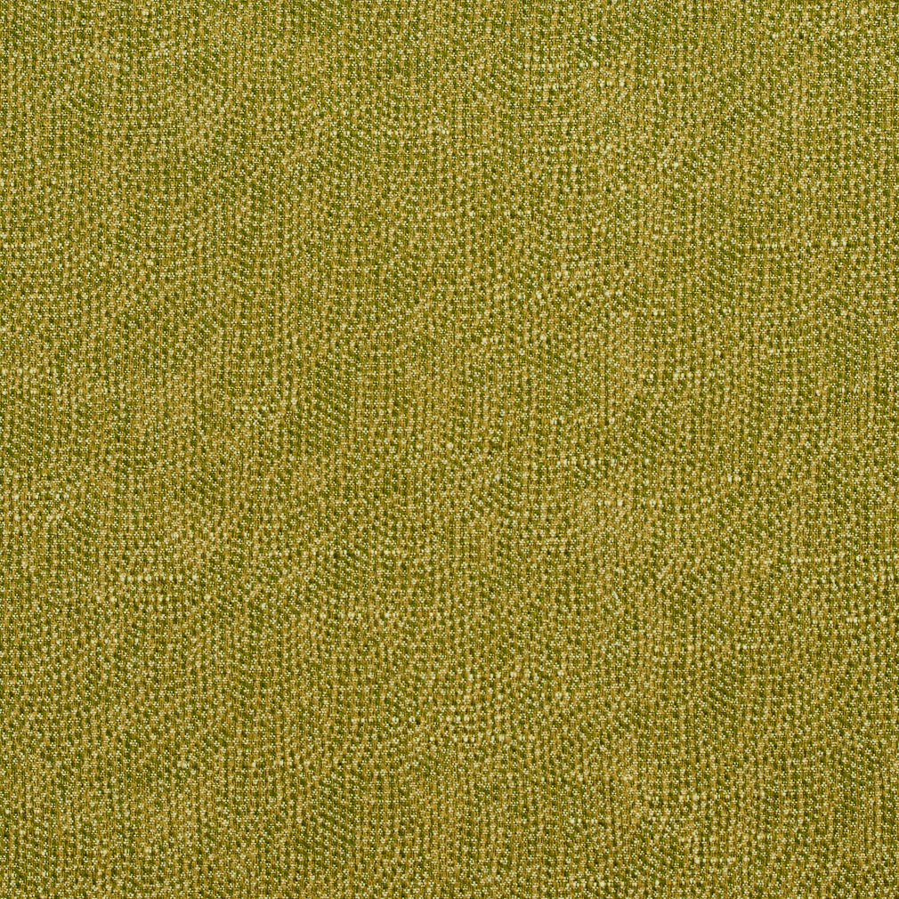 4447 Fern