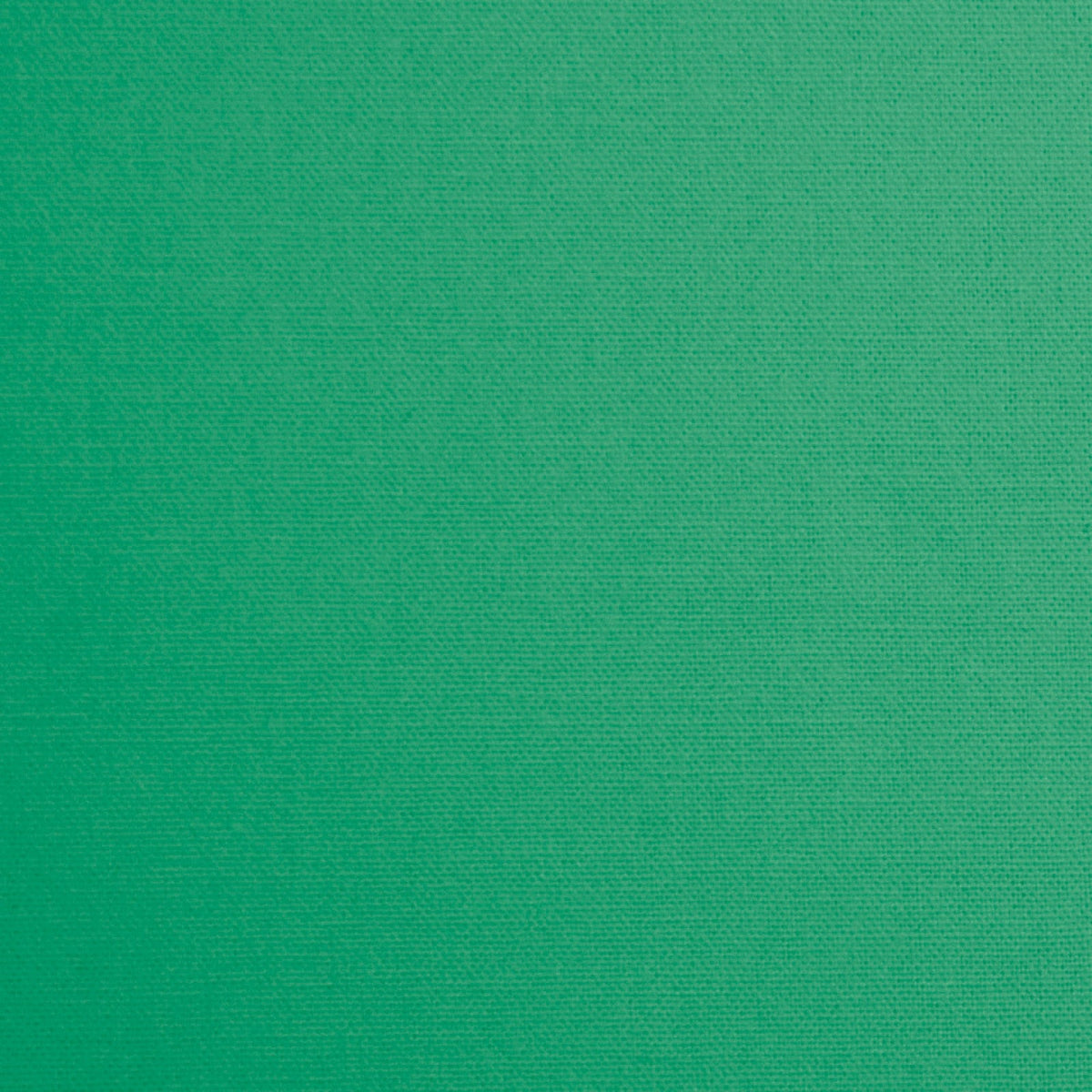 Daffy-Seagreen