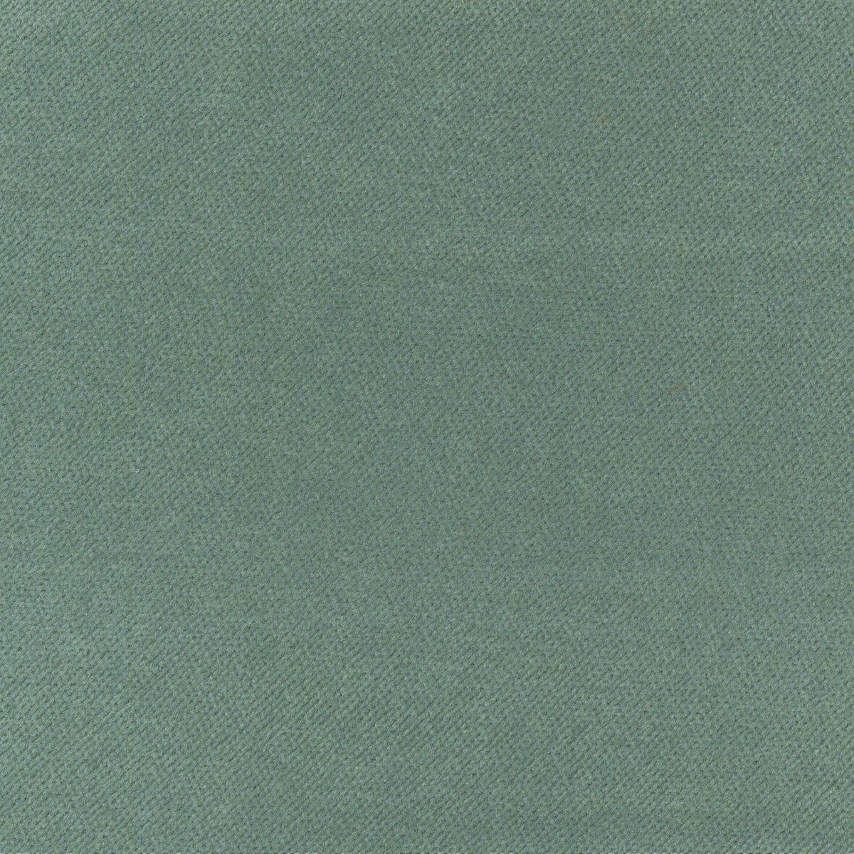 A5313 Heron