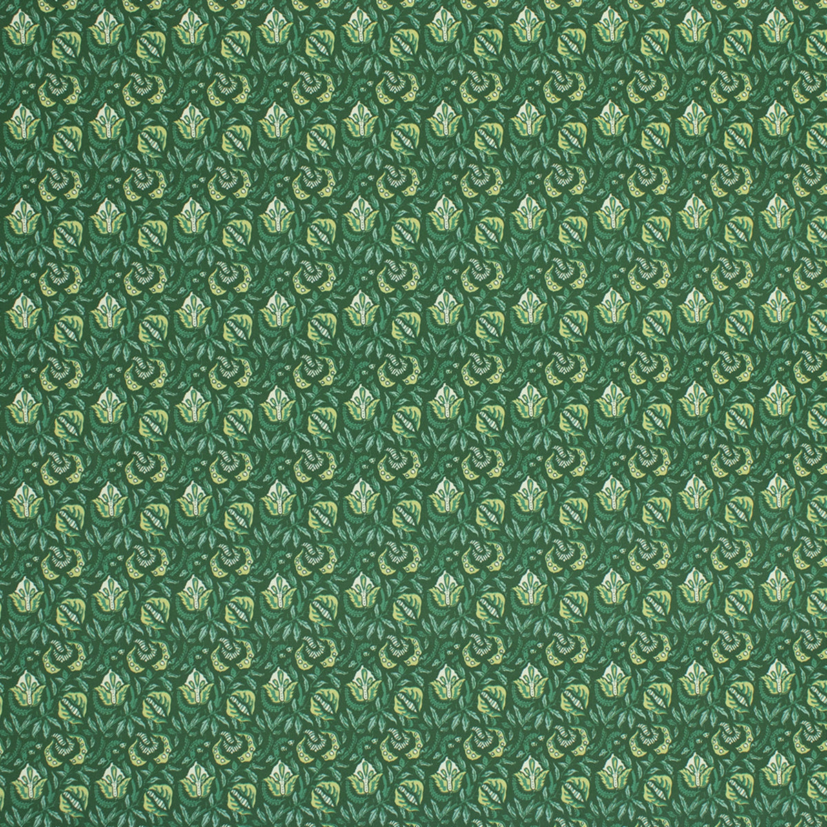 S6893 Tropedelic