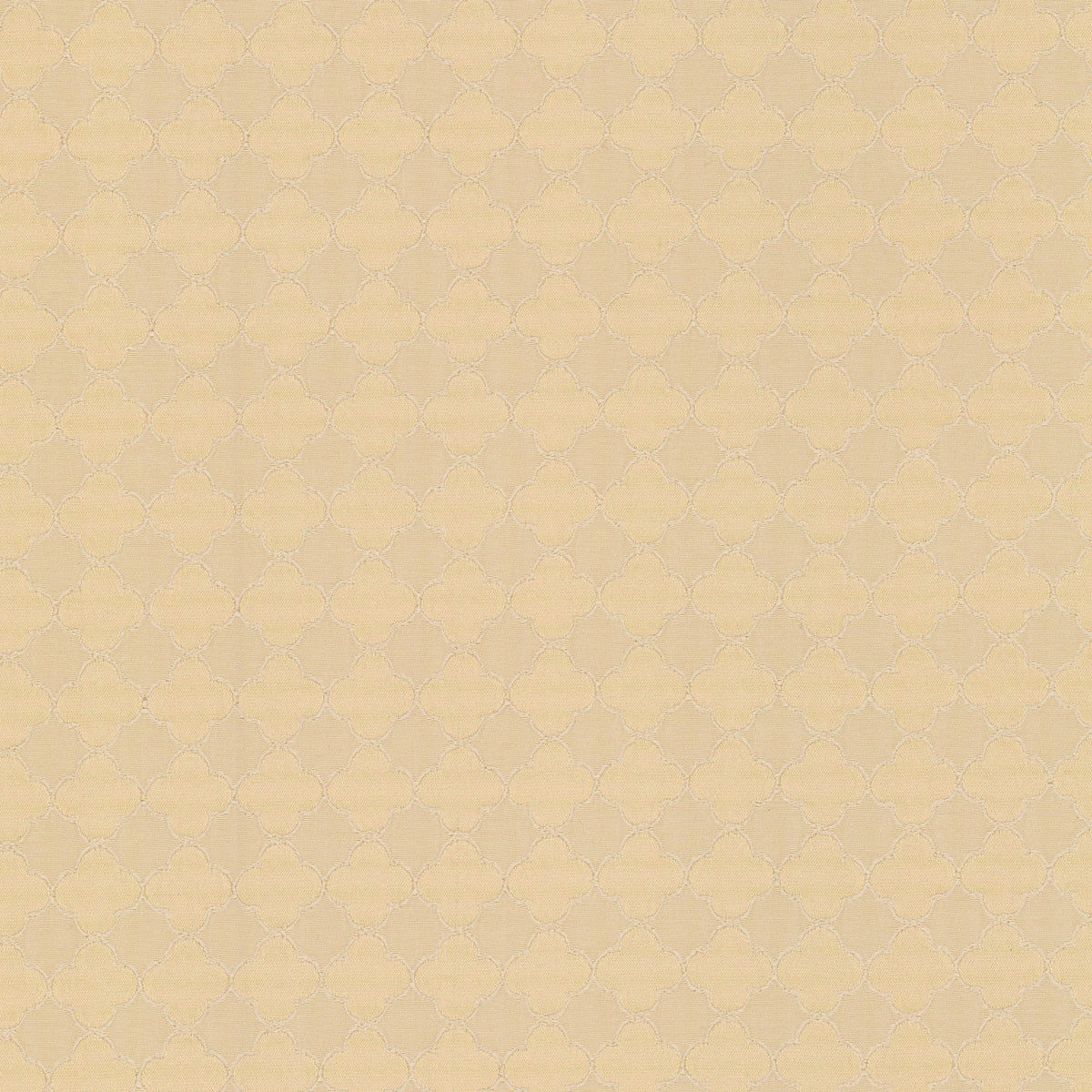 Anna Elisabeth S7991 SHELL Fabric | Atlanta Fabrics