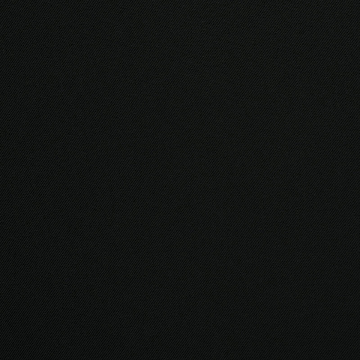 Palomino-Black