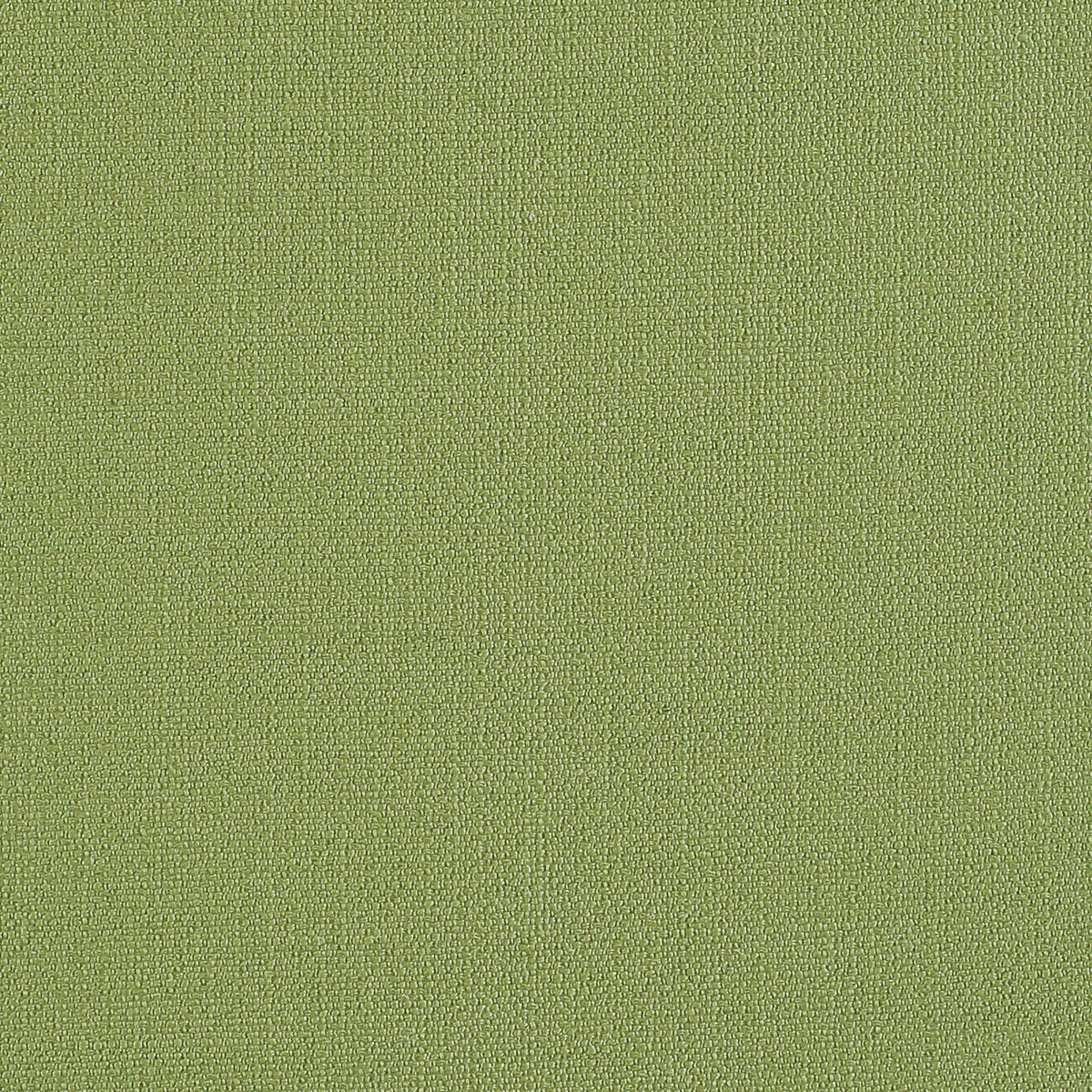 Fleming-Fern