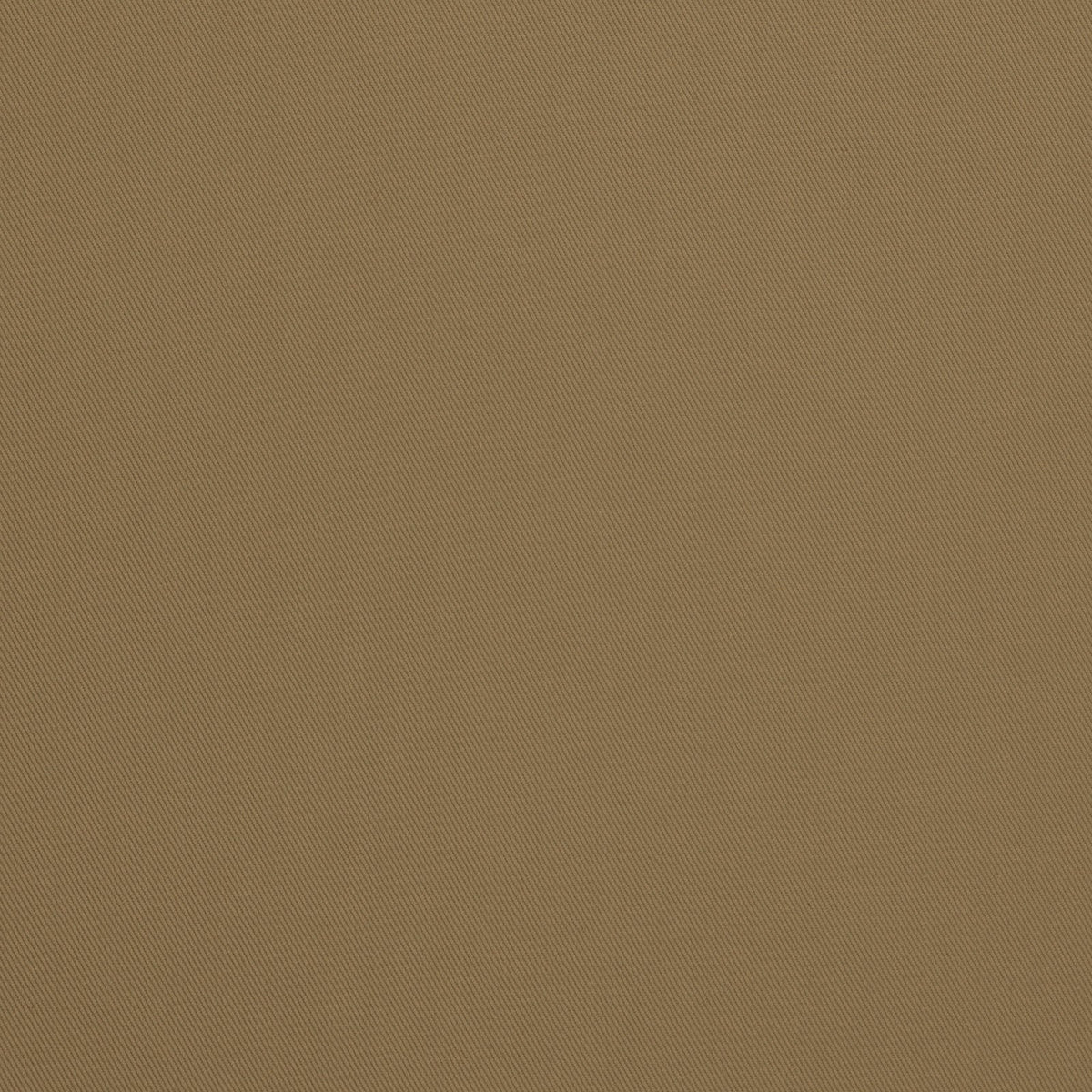 Palomino-Biscuit