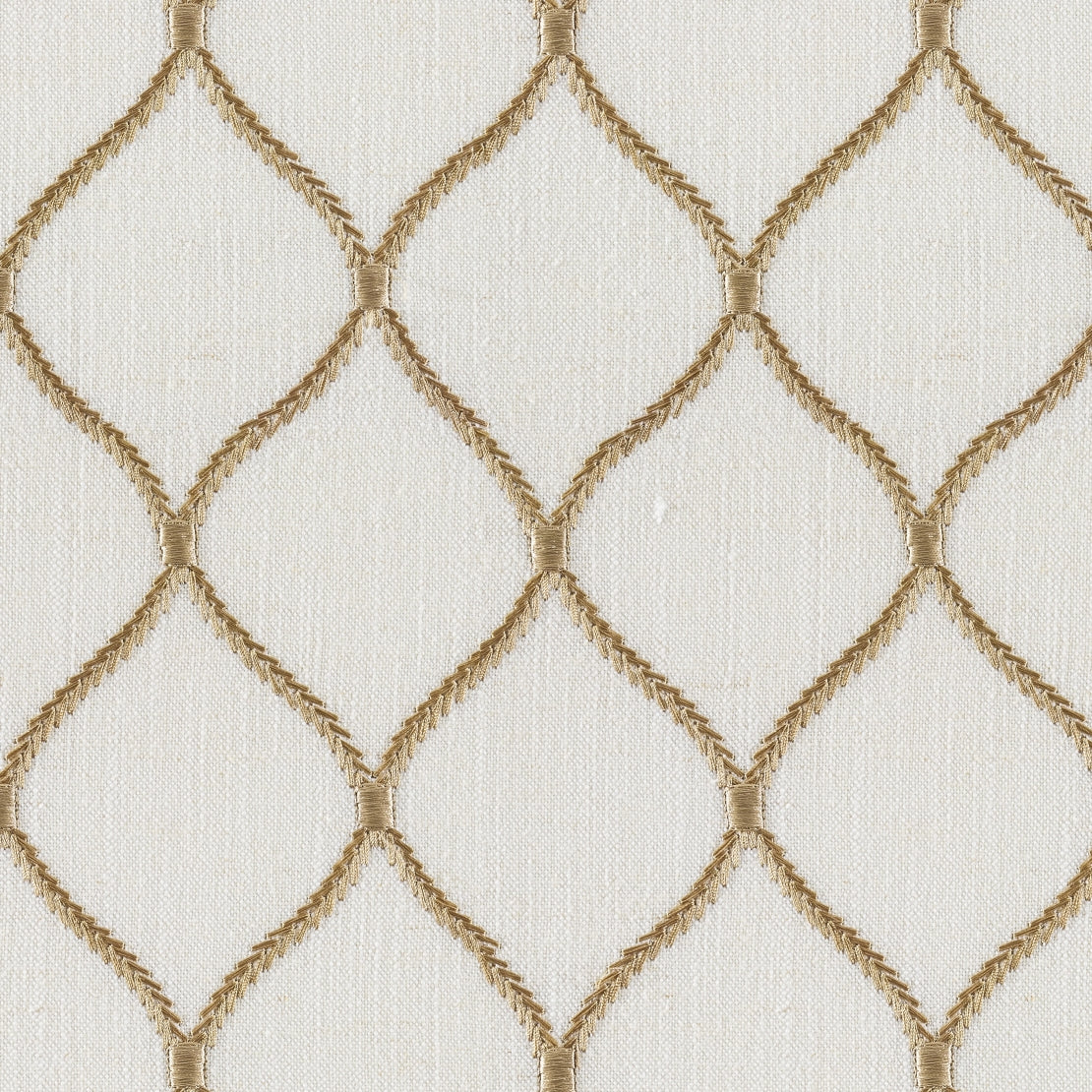 Socrates Jovial Honey