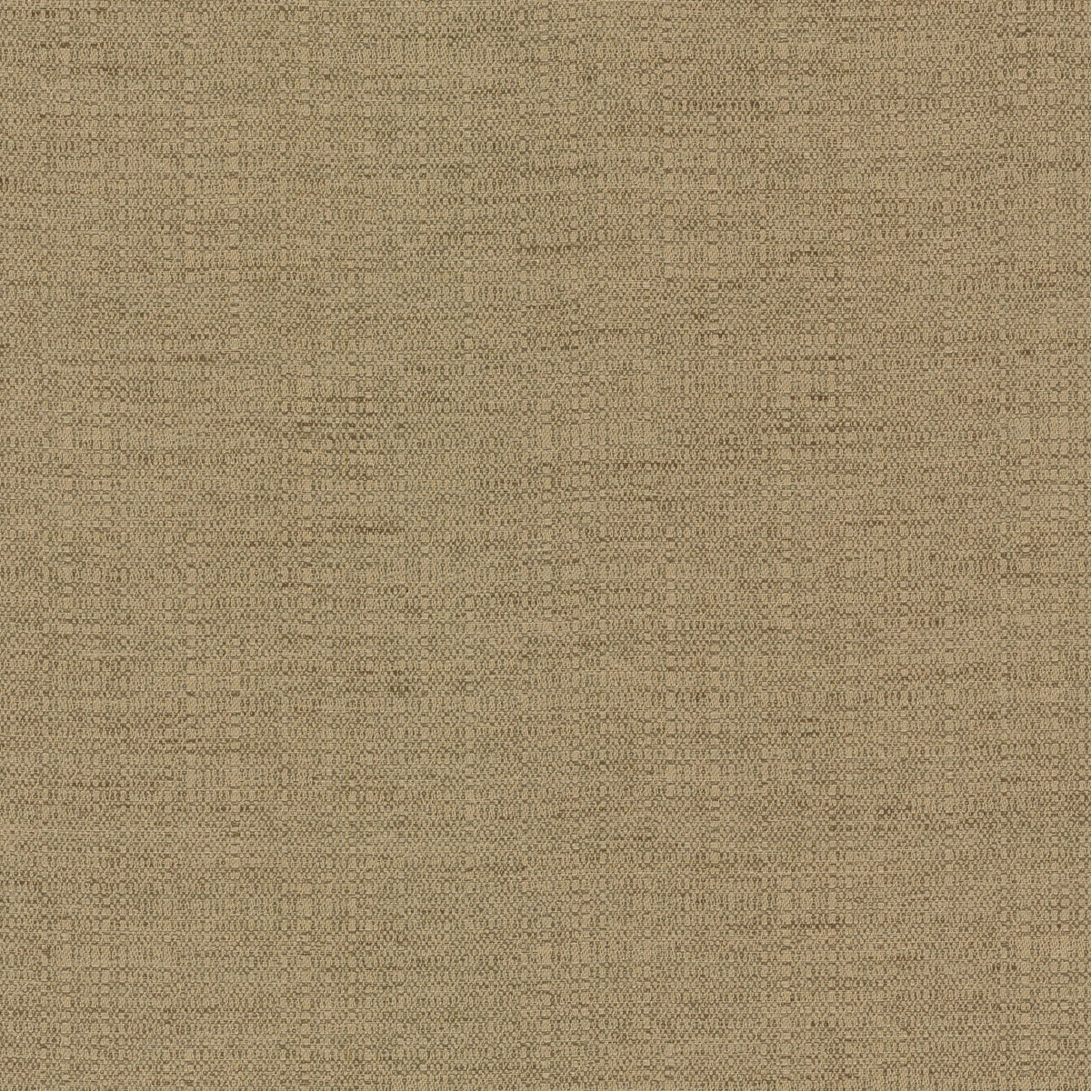 Anna Elisabeth S8000 DESIZED Fabric | Atlanta Fabrics