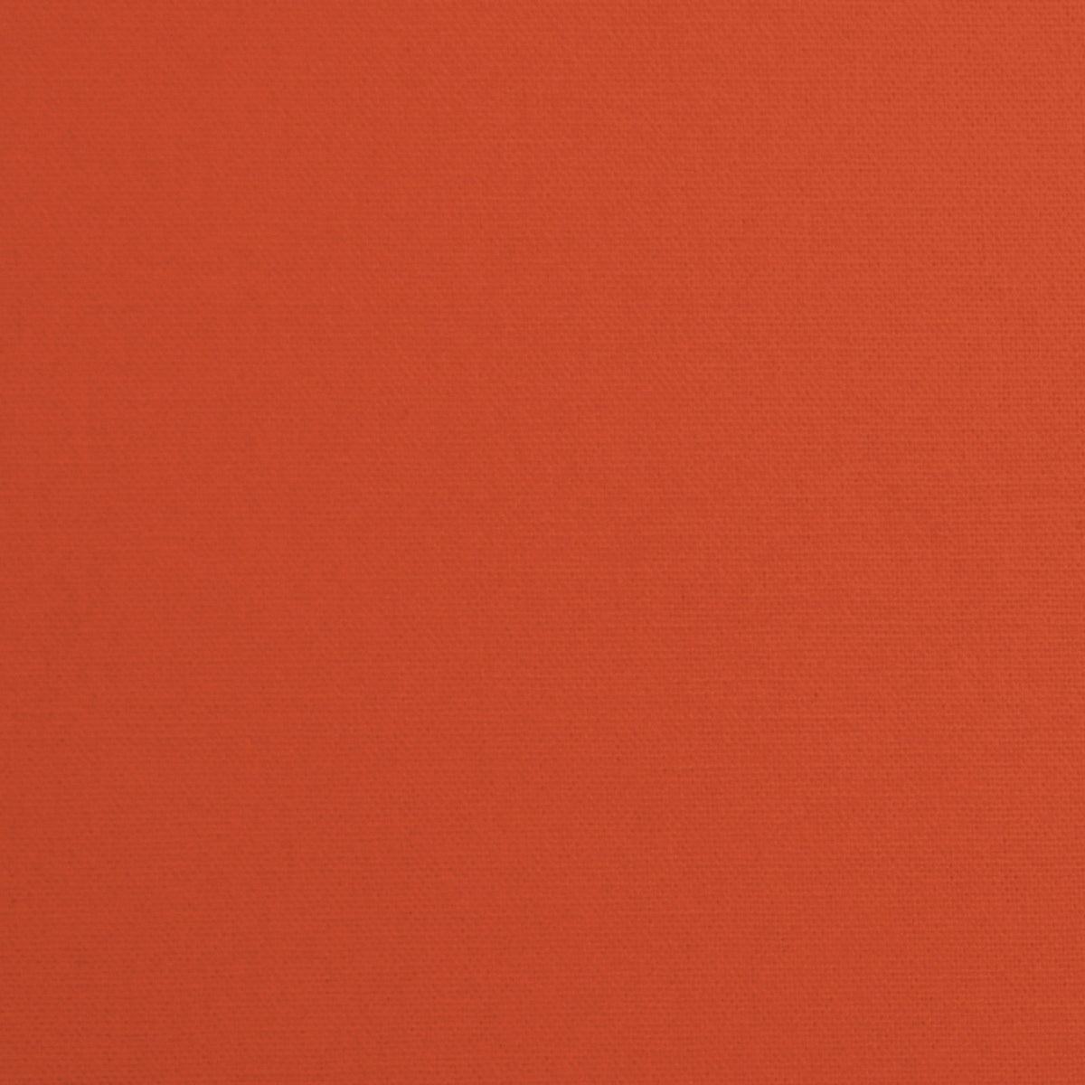 Daffy-Terracotta