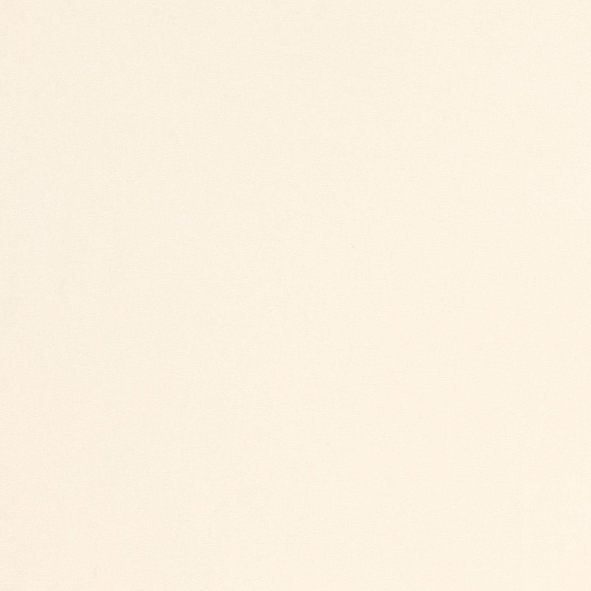 Mitchell Fabrics Interlining (5 osy)-White Fabric | Atlanta Fabrics