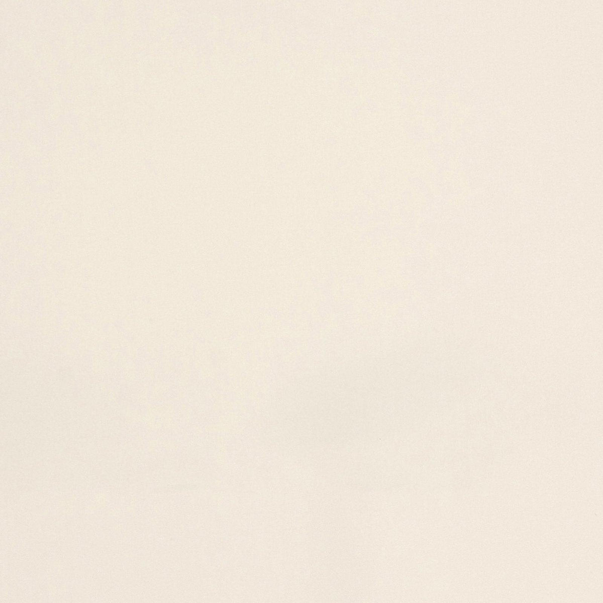 Nocturne-White/White - Atlanta Fabrics