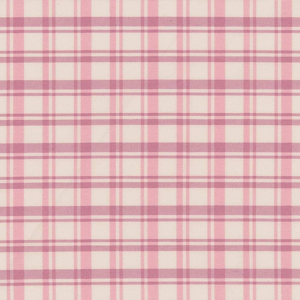 Picnic D2389 Watermelon - Atlanta Fabrics