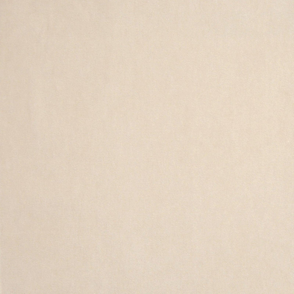 Tuxedo Road A7966 Sand - Atlanta Fabrics