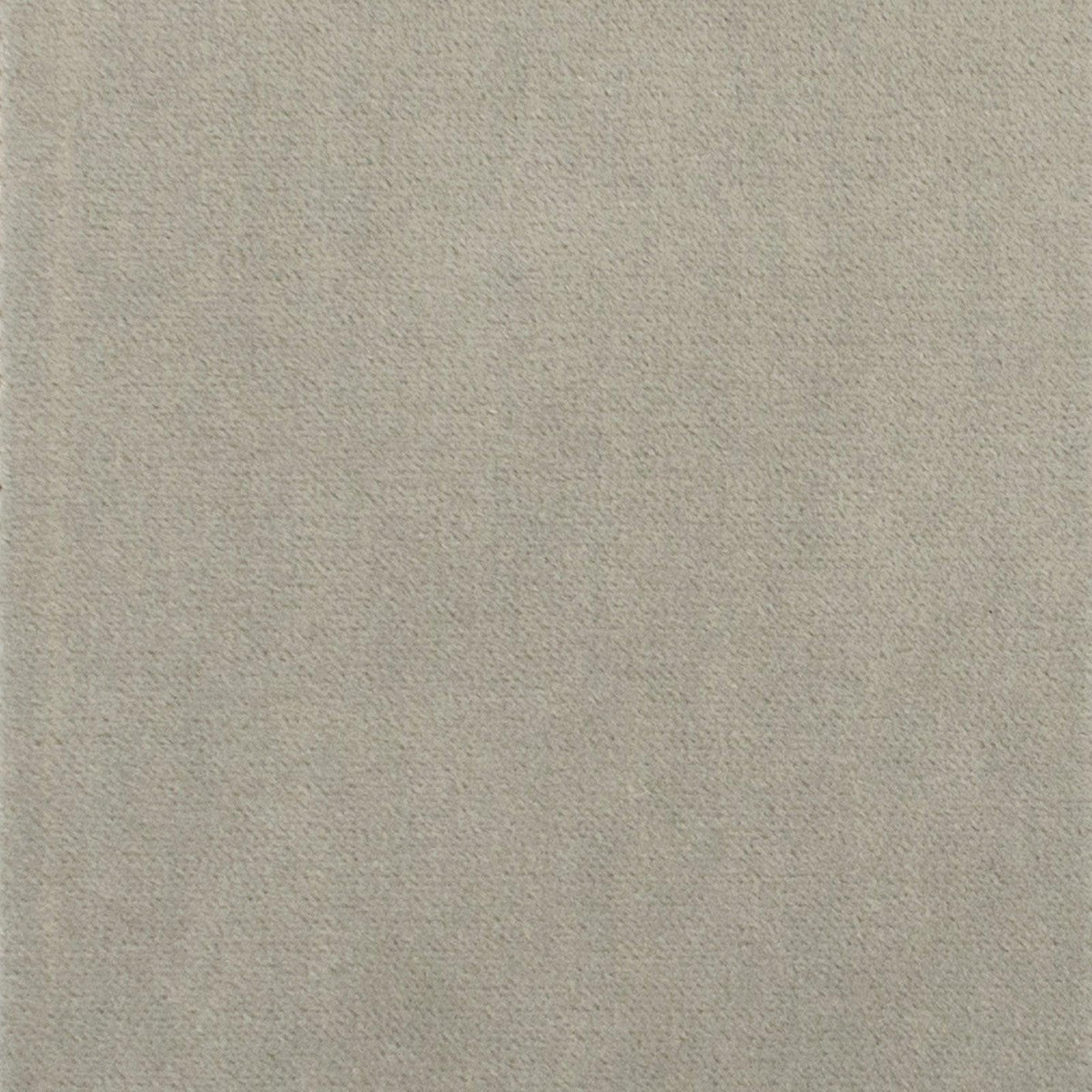 Tuxedo Road S1052 Pearl Grey - Atlanta Fabrics