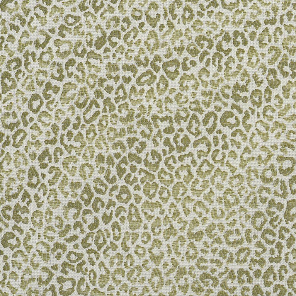 Wild CB700-306 - Atlanta Fabrics