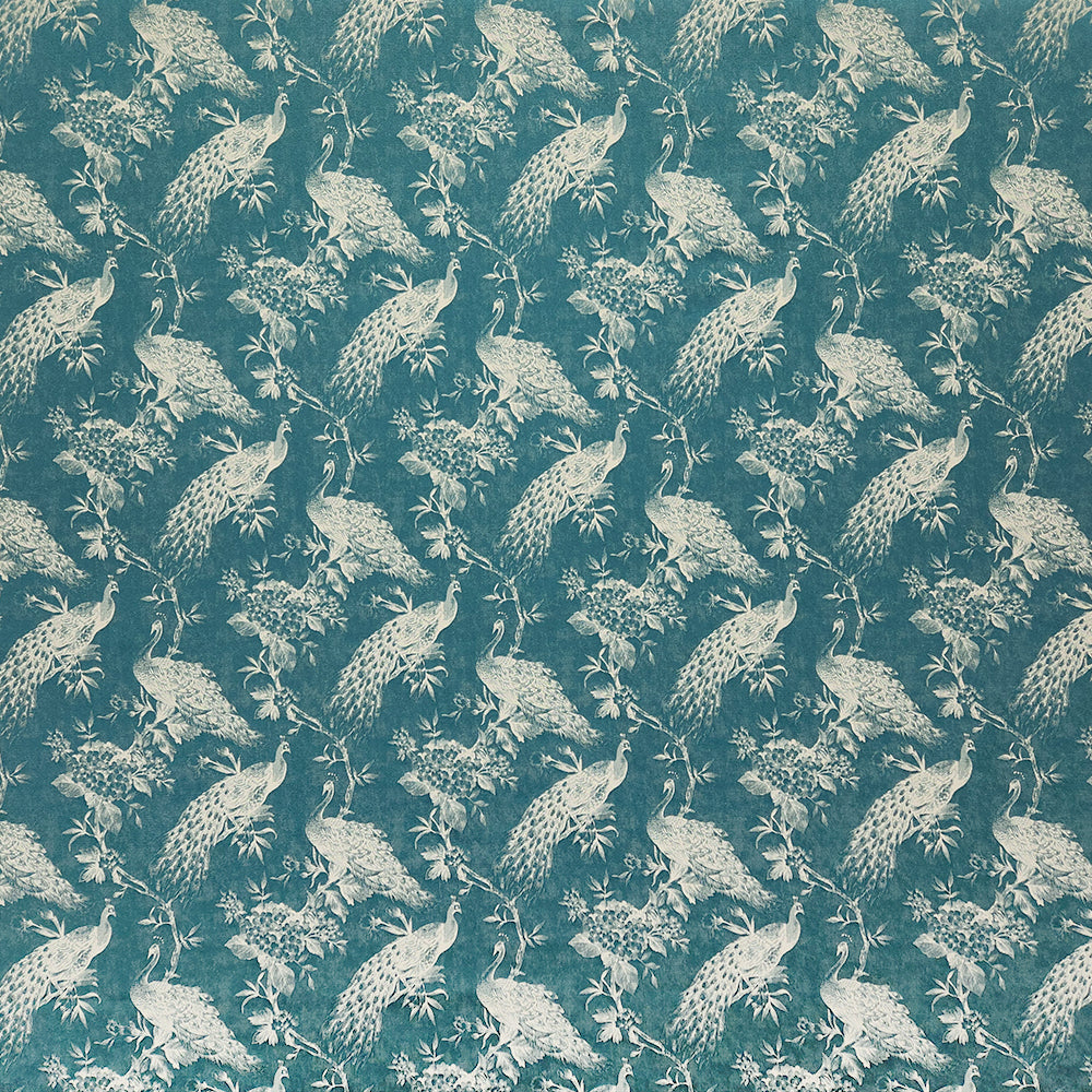 Roaming Peacock Cadet