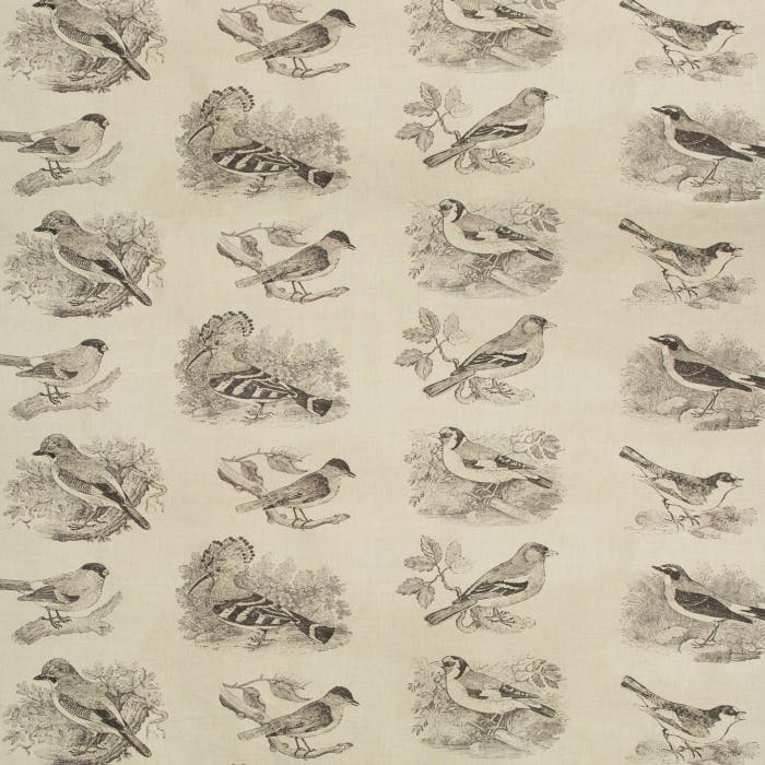 SUMTER TOILE - CHARCOAL