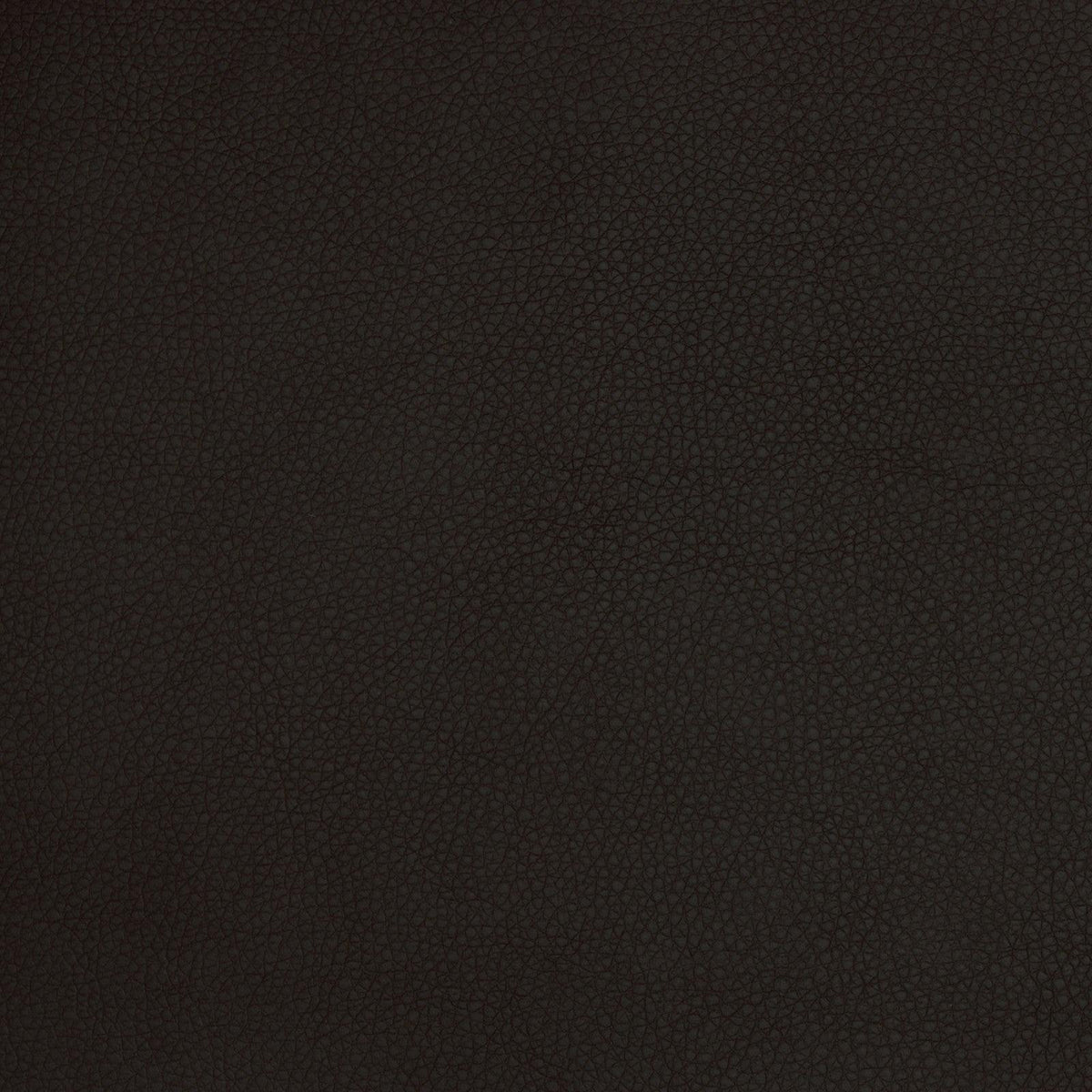 A9212 Black - Atlanta Fabrics