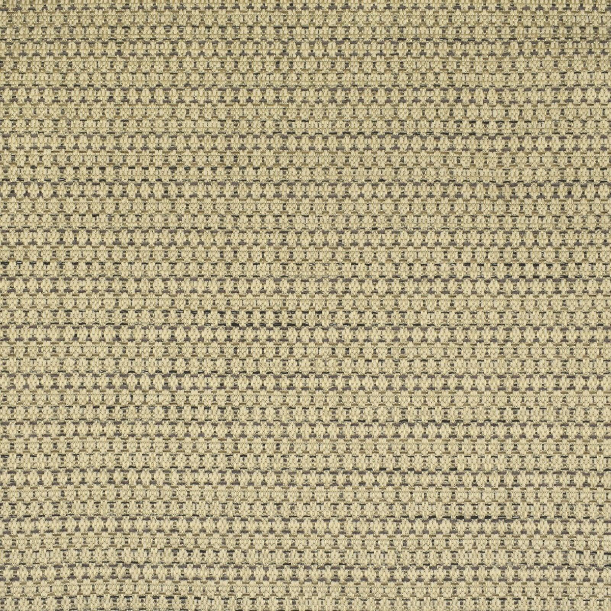 Aventura F3035 Carbon - Atlanta Fabrics