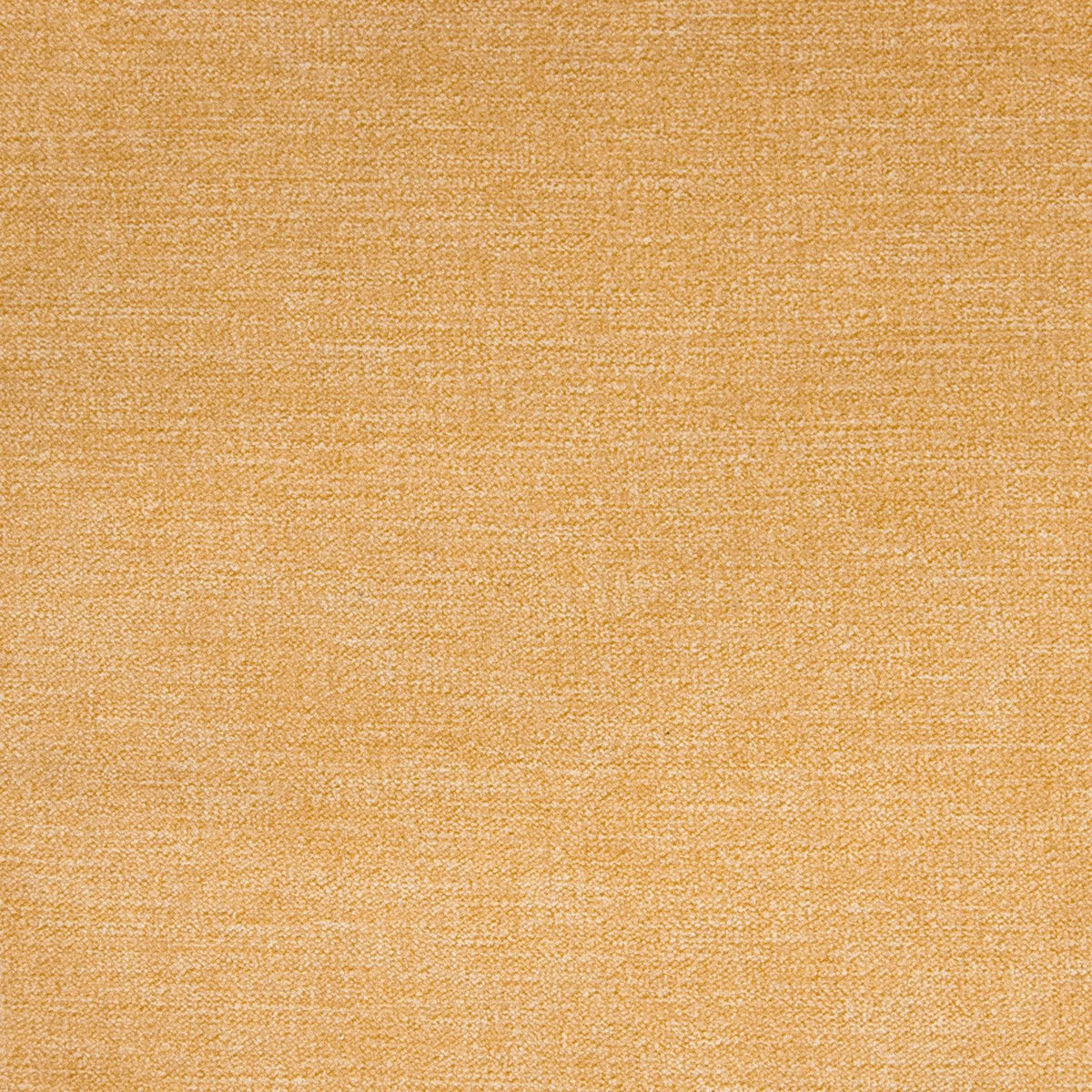 B1271 Canary - Atlanta Fabrics