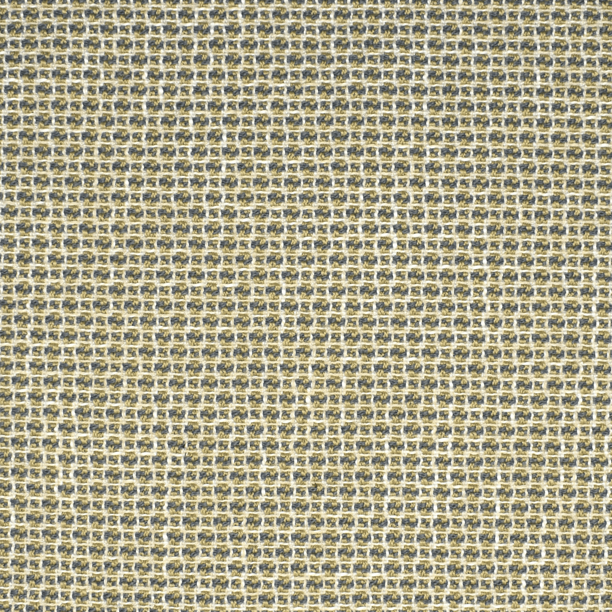 Checkered Past F2152 Mushroom - Atlanta Fabrics