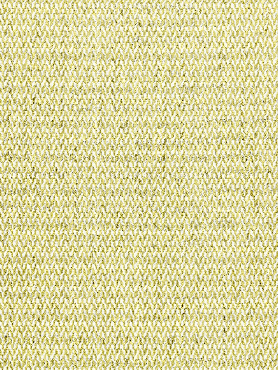 CORTONA CHENILLE FERN - Atlanta Fabrics