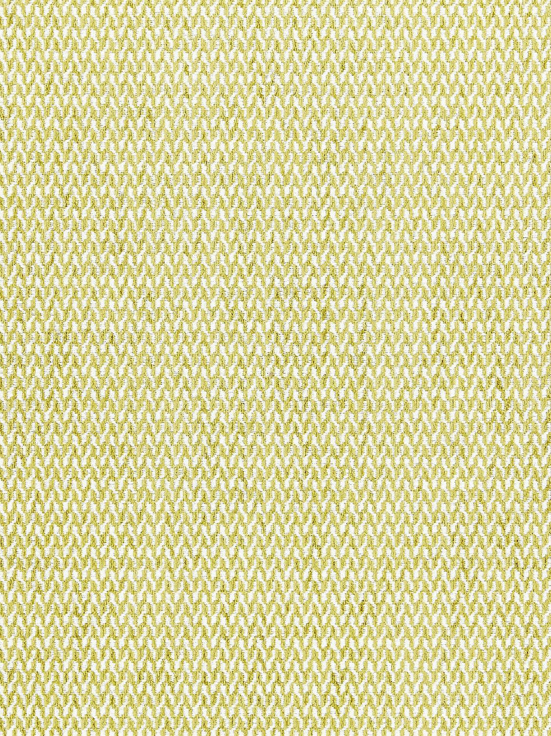 CORTONA CHENILLE FERN - Atlanta Fabrics