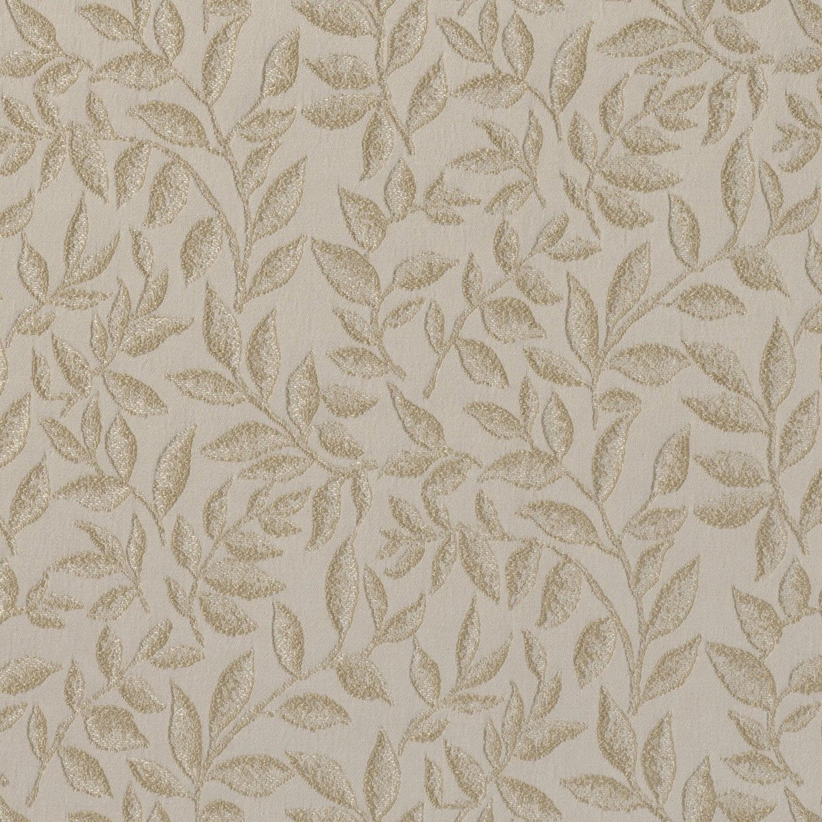 Roberto-Champagne - Atlanta Fabrics