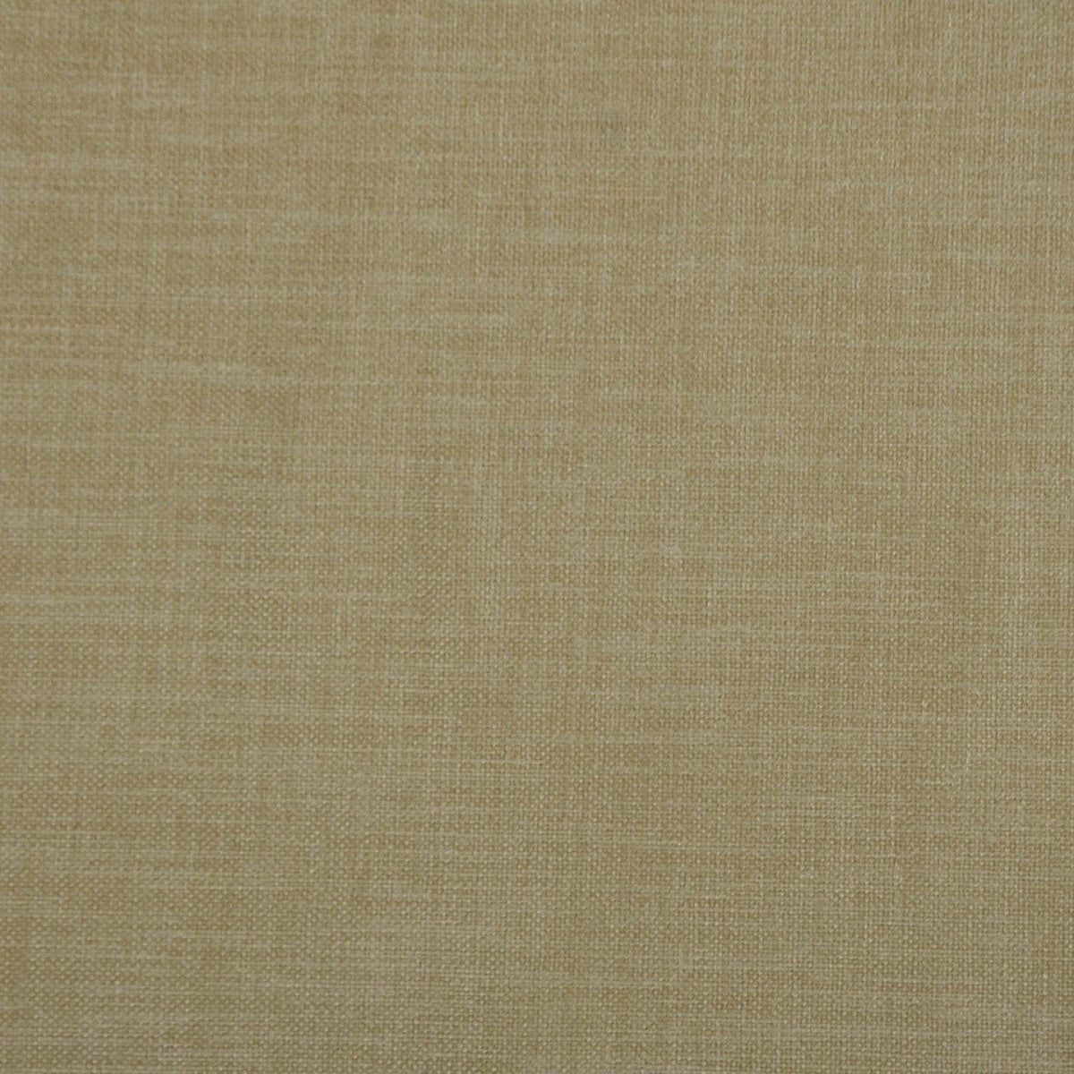 Vibrato-Cashew - Atlanta Fabrics